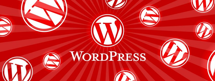 wordpress user guide graphic