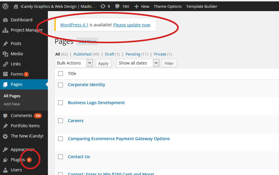 WordPress Updates Software and Plug-ins