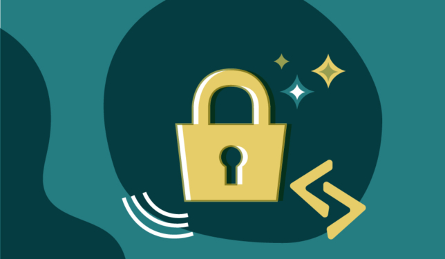 WordPress website security illustration