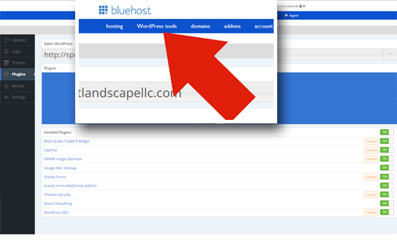 bluehost-wordpress-tools