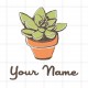 Natural Succulent Logo