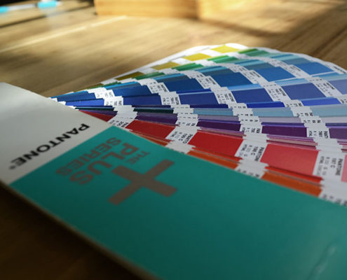 Bizzy Bizzy Pantone swatch book