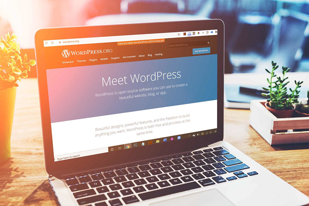 WordPress web design on laptop on desk