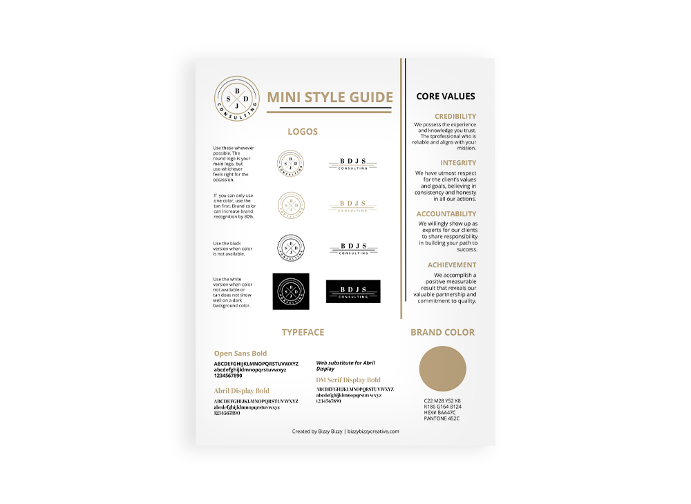 BDJS Consulting brand guidelines with logos, fonts, colors, values