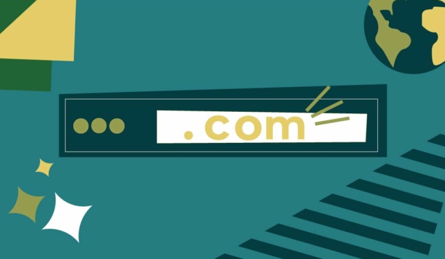 What is a domain retro illustration of browser